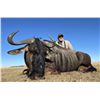 Image 6 : African Safari - 8 Hunt Days for 2 Hunters & 2 Observers - Donated by Africa Maximum Safaris