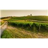 Image 3 : Tuscany 6-Nights for 2 Guests