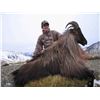 Image 3 : New Zealand Hunt for 2 Hunters for 5 Days