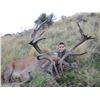 Image 4 : New Zealand Hunt for 2 Hunters for 5 Days