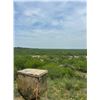 Image 3 : Unlimited Texas Hog Hunt for 2 Hunters