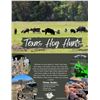 Image 4 : Unlimited Texas Hog Hunt for 2 Hunters