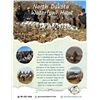 Image 5 : North Dakota Waterfowl Hunt for 2 Hunters