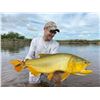 Image 1 : Argentina Big Game Hunting & Golden Dorado Fishing for 2 Hunters