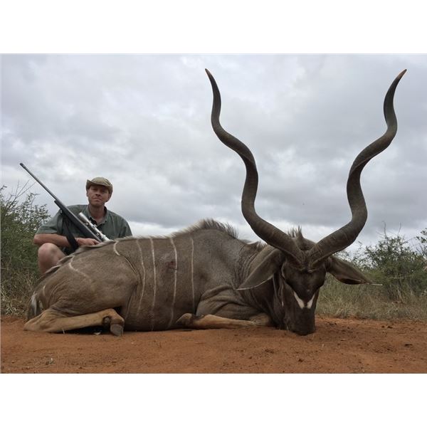 South Africa - Limpopo - Kuvhima Safaris - 2 Hunters