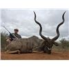 Image 1 : South Africa - Limpopo - Kuvhima Safaris - 2 Hunters