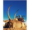 Image 4 : South Africa - Limpopo - Kuvhima Safaris - 2 Hunters