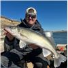 Image 2 : Trophy Walleye Fishing