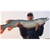 Image 6 : Trophy Walleye Fishing