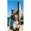 Image 7 : Trophy Walleye Fishing