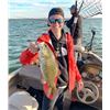 Image 8 : Trophy Walleye Fishing