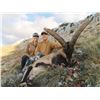 Image 4 : Southeastern Ibex Hunt in Spain for 2 Hunters