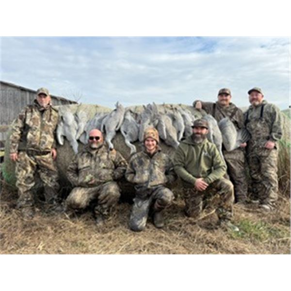 Sandhill Crane Hunt - West Central Kentucky - TLC Outfitters