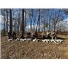 Image 3 : Sandhill Crane Hunt - West Central Kentucky - TLC Outfitters