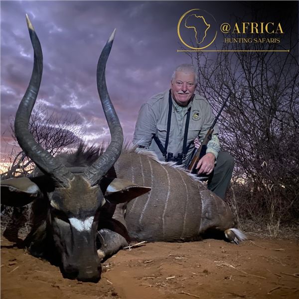 10-Day African Hunting Safari – Limpopo, South Africa