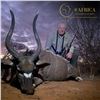 Image 1 : 10-Day African Hunting Safari – Limpopo, South Africa