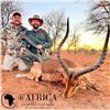 Image 5 : 10-Day African Hunting Safari – Limpopo, South Africa