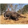 Image 1 : 10-Day Cape Buffalo Hunt – Limpopo, South Africa