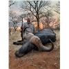 Image 2 : 10-Day Cape Buffalo Hunt – Limpopo, South Africa