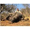 Image 3 : 10-Day Cape Buffalo Hunt – Limpopo, South Africa