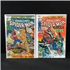 Image 1 : LOT OF 2 AMAZING SPIDERMAN COMICS #171 & #173 - MARVEL COMICS