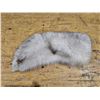 Image 5 : (2) Vintage Dresses, (1) Fur Stole