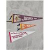 Image 1 : (3) Vintage Souvenir Felt Pennants