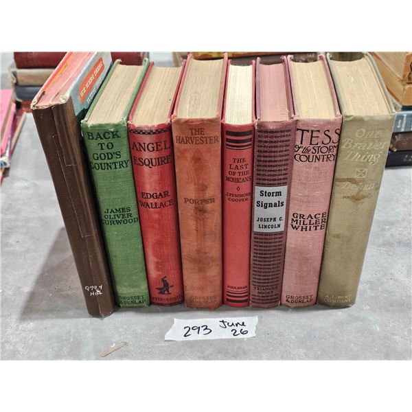 Vintage Book Lot