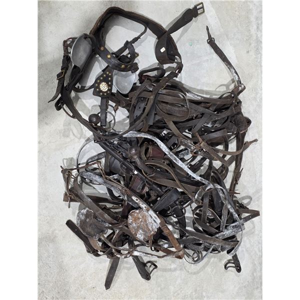 Antique Horse Harnesses etc.