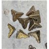 Image 2 : Antique Cast Iron Rim Locks & Brass Trunk Hardware Lot