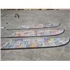 Image 3 : (3) Wakaw Feather banners 143"