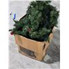 Image 1 : Christmas Tree in Box – Not Assembled