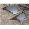 Image 3 : 2 furrow plow