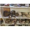 Image 3 : Large Lot of Rocks, Crystal, Petrified Wood, Sandstone, Ironstone, etc.