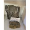 Image 5 : Large Lot of Rocks, Crystal, Petrified Wood, Sandstone, Ironstone, etc.