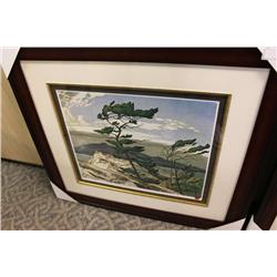 Limited Edition Print