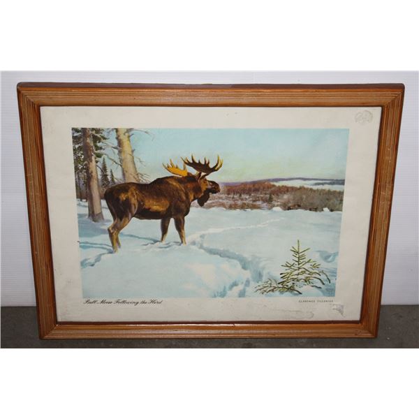 BULL MOOSE FOLLOWING THE HERD CLARENCE TILLENIUS