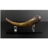 Image 1 : Early American Frontier Powder Horn