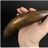 Image 5 : Early American Frontier Powder Horn