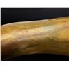 Image 3 : Early American Scrimshaw Powder Horn