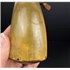 Image 5 : Early American Scrimshaw Powder Horn