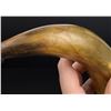 Image 6 : Early American Scrimshaw Powder Horn