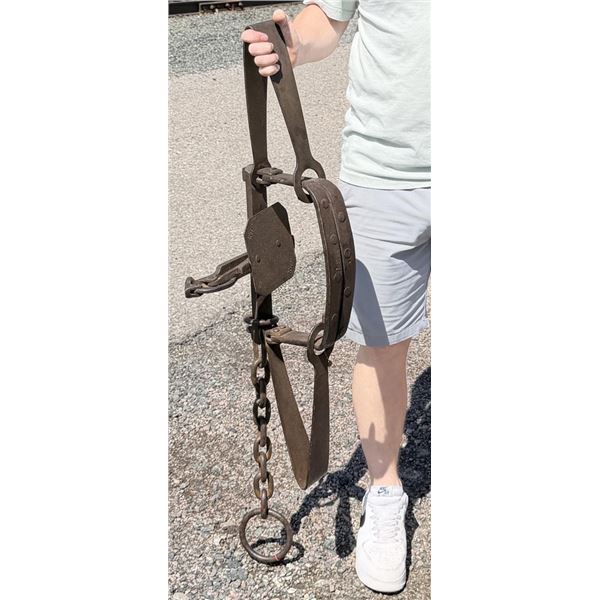 WHS Newhouse #6 Hand Forged Bear Trap
