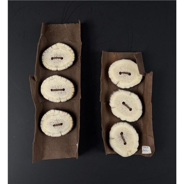 Deer and Elk Antler Horn Buttons