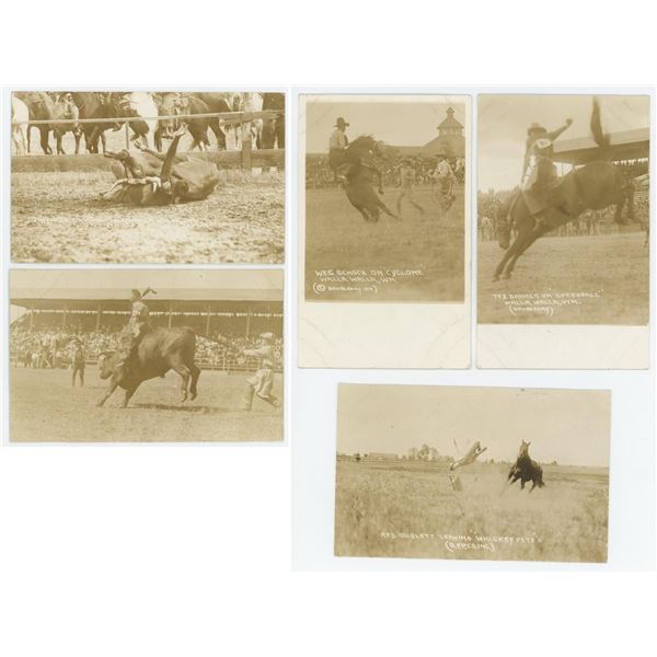 Collection of Doubleday Rodeo RPPC Postcards