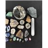 Image 2 : Collection of Rocks Fossils and Minerals