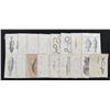 Image 1 : Pacific Railroad Surveys Fish Prints