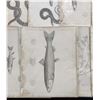 Image 2 : Pacific Railroad Surveys Fish Prints