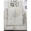 Image 3 : Pacific Railroad Surveys Fish Prints