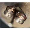 Image 4 : Sterling Silver Howling Wolf Earrings